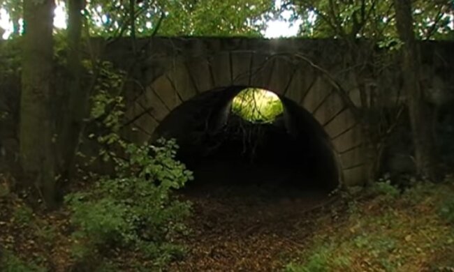 Die Nachbarn beschlossen gemeinsam, die verlassene Straße aufzuräumen und sie in eine gemütliche Unterkunft zu verwandeln