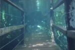 Unterwasser. Quelle: Screenshot YouTube