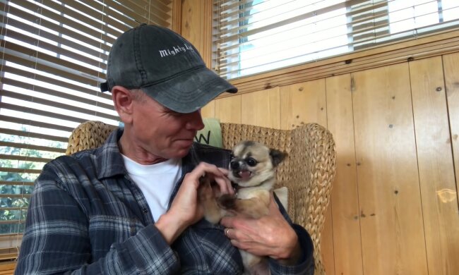 "Ein Geschenk der Natur": Wie ein Hund mit einem ungewöhnlichen Gesicht aussieht