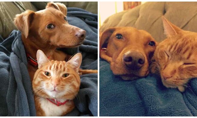 Beste Freunde. Quelle: Screenshot