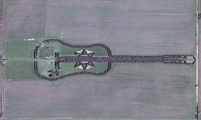Ein liebender Mann pflanzte einen Garten in Form einer Gitarre in Erinnerung an seine Freundin