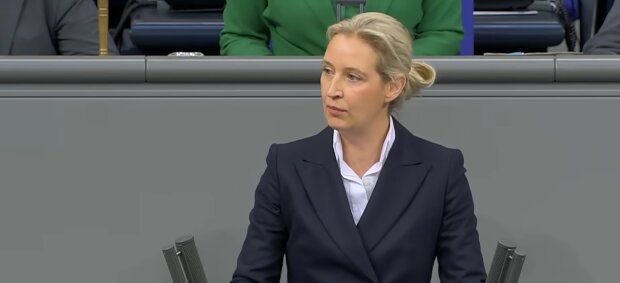 Wie weit die Deutschen gegen die AfD gehen würden. Quelle: Youtube Screenshot