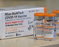 Experten raten zu frühzeitiger Impfung. Quelle: Youtube Screenshot