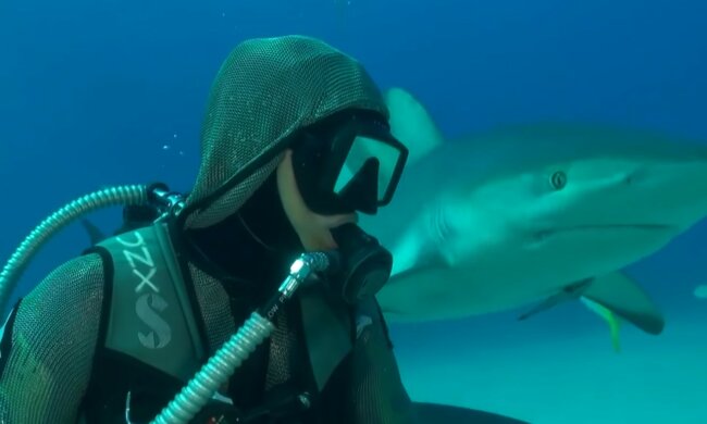Aufregendes Treffen mit einem Raubtier