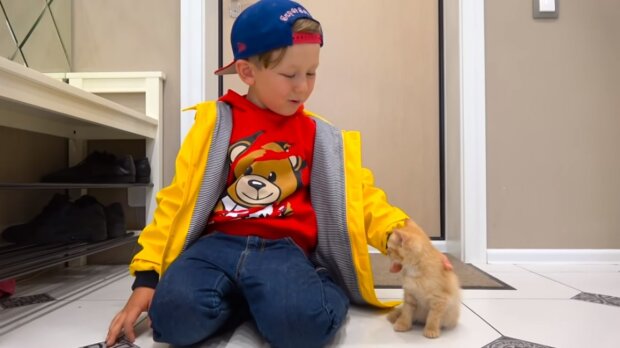 9-jähriger Junge spendet 2000 Dollar aus dem Gewinn eines Limonadenstandes, um Katzen im Tierheim glücklich zu machen