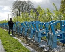 Ein Ort, an dem erstaunliche Möbelstücke  direkt auf den Betten wachsen