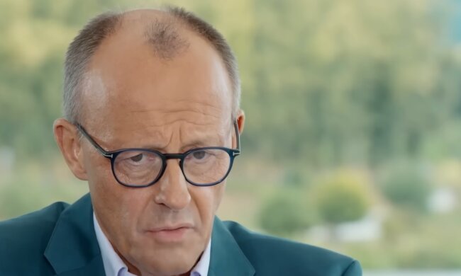 70 Prozent sollen Merz nicht unterstützen. Quelle: Youtube Screenshot