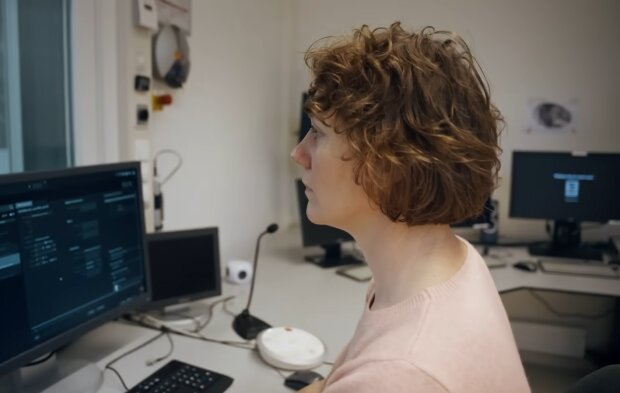 Karriere ohne Kaufkraft. Quelle: Youtube Screenshot