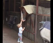 Mädchen und Pferd. Quelle: Screenshot Youtube