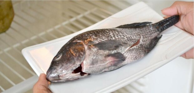 Ein Experte aus Korea erklärte, wie man Fisch und Fleisch in 7-10 Minuten auftaut