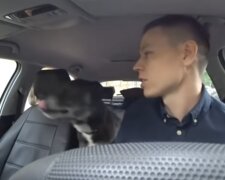 Taxifahrer. Quelle: Screenshot YouTube