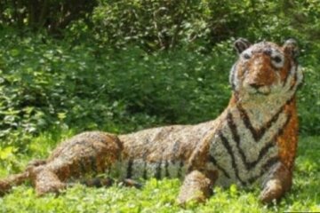 Die Polizei hat einen Tiger gefangen, der aus dem Zoo geflohen ist, sie hat sogar einen Hubschrauber angezogen: Als sie ihn gefangen haben, haben sie erkannt, dass es sich um ein Denkmal handelt