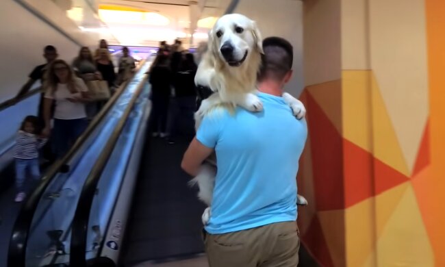 Mann mit einem Hund. Quelle: YouTube Screenshot
