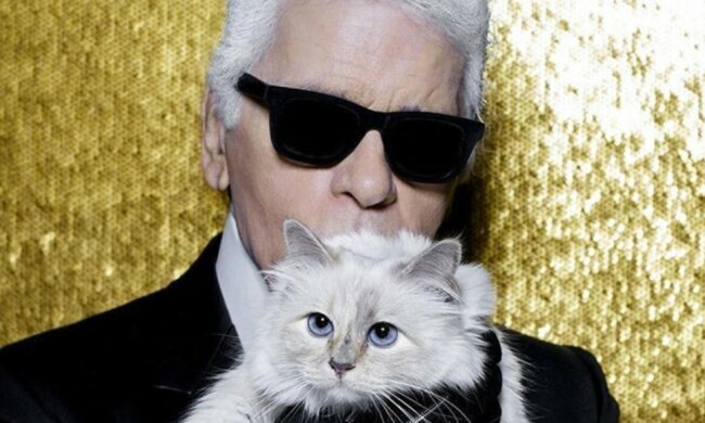 Ungewöhnliche Erbschaft: warum Karl Lagerfeld ein Multimillionen-Dollar-Erbe für die Katze hinterlassen hat