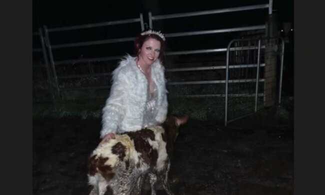 Eine rührende Überraschung für einen unvergesslichen Tag. Quelle: Screenshot YouTube