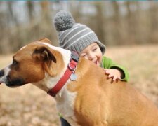 Hunde schützen oft Kinder