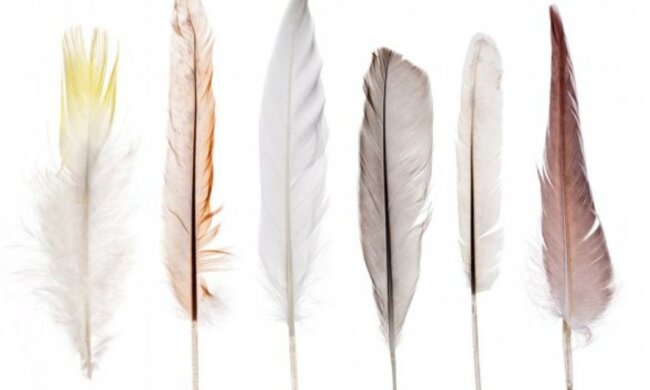 Foto: depositphotos.com