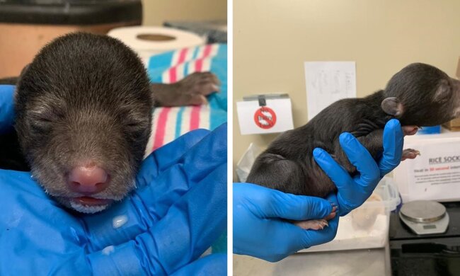 1581602547_c81e728d9d4c2f636f067f89cc14862c