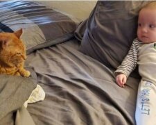 Die Besitzer waren sicher, dass ihre Katze die neugeborene Tochter nicht mochte, bis sie herausfanden, was sie nachts tat