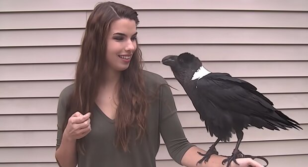 Junge Frau und eine Krähe. Quelle: YouTube Screenshot