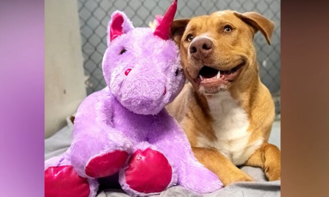 Unzertrennliches Duo. Quelle: Screenshot YouTube