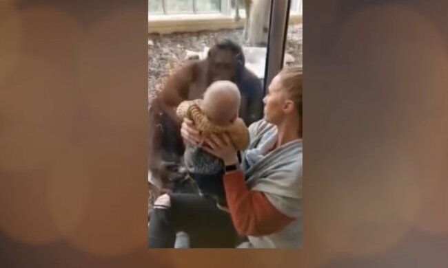 Lang ersehntes Kennenlernen. Quelle: Youtube Screenshot