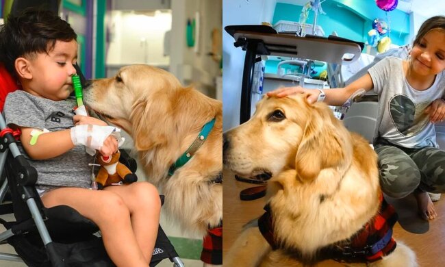 Vierbeiniges Glück. Quelle: Screenshot