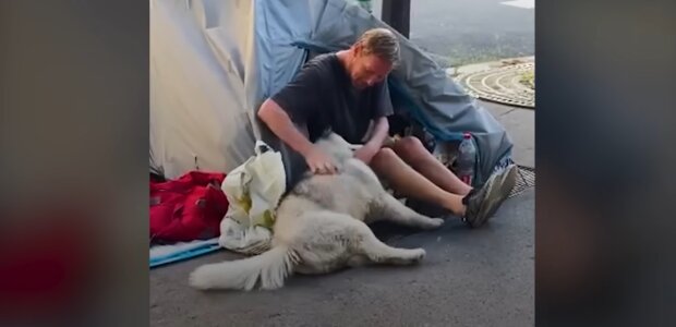 „Ein Zelt, ein Husky, kein Dach – und trotzdem nicht gebrochen. Quelle: Youtube