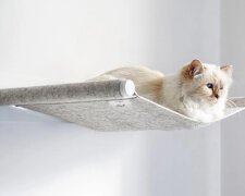 Wie Choupette, die Katze von Karl Lagerfeld, das Angebot für Haustiermöbel-Kollaborat erhielt