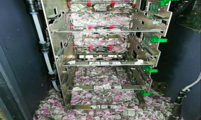 Es war lecker: Wie die Mäuse in den Geldautomaten kletterten und das ganze Geld dort auffraßen