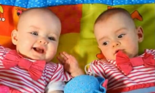 Kampf ums Leben von Anfang an. Quelle: Screenshot YouTube