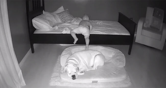 Der Junge steht mitten in der Nacht auf um mit seinem besten Freund auf dem Boden zu schlafen