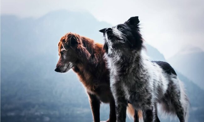 Yuri und Finn bei der Reise. Quelle: Instagram