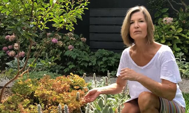 Die Eigentümerin wird ihren Garten schützen. Quelle: Screenshot YouTube