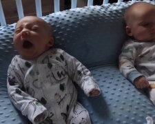 Neugeborene Babys. Quelle: YouTube Screenshot