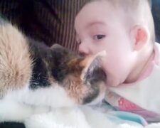 Das Kind mit der Katze. Quelle: Screenshot YouTube