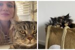 Madolline und Katzen. Quelle: Screenshot