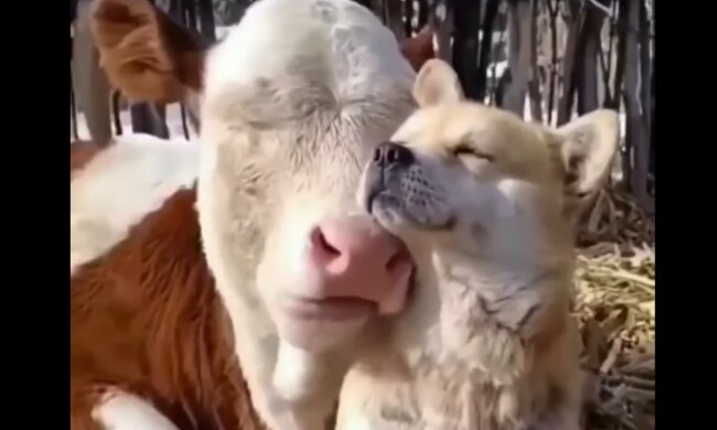 Gegenseitiges Verständnis. Quelle: Screenshot YouTube