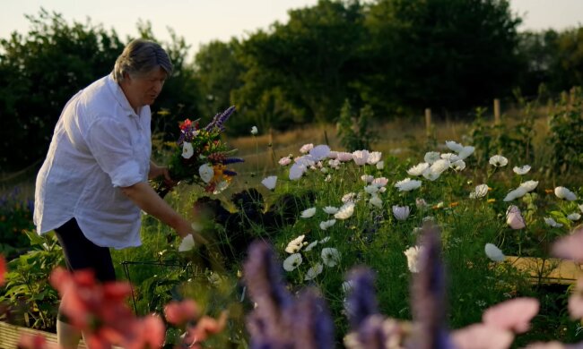 Garten. Quelle: Youtube Screenshot