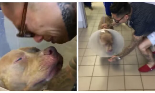 Hund und Besitzer. Quelle: Screenshot YouTube
