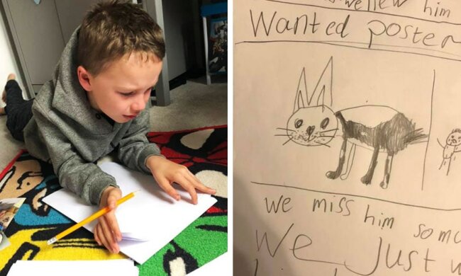 Der Junge wollte unbedingt seinen Hund finden und zeichnete Plakate, so gut er konnte