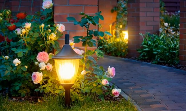 In Deutschland plante man, das Licht in der Nacht zu dämpfen, um Insekten zu retten