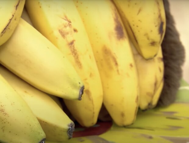 Bananen. Quelle: Screenshot YouTube
