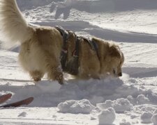 Ein zuverlässiger Helfer im Schnee. Quelle: Screenshot YouTube
