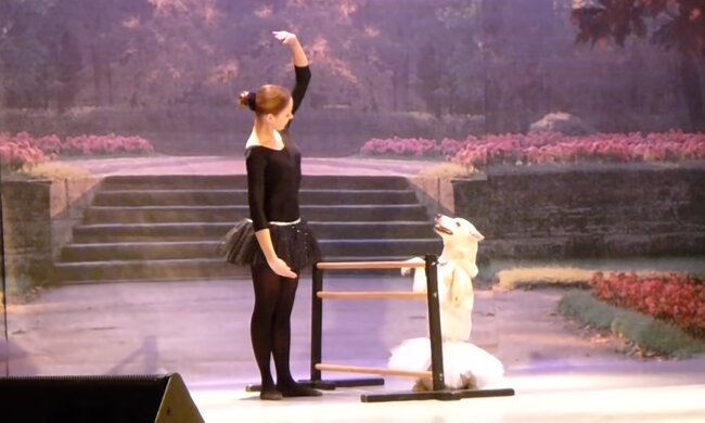 Ballerina tanzt mit dem Hund. Quelle: Screenshot Youtube