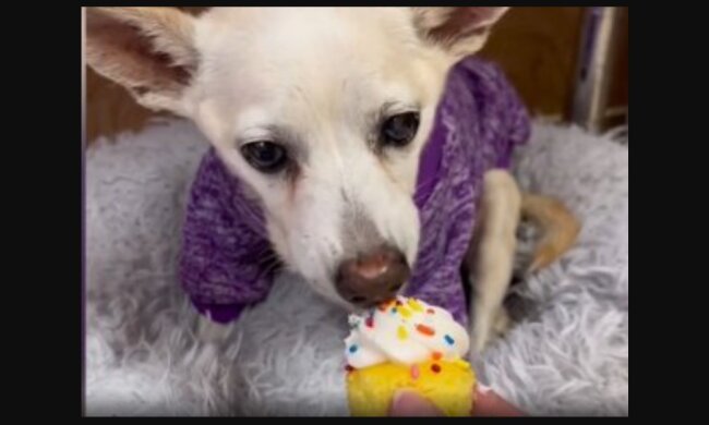 Julie. Quelle: Youtube Screenshot