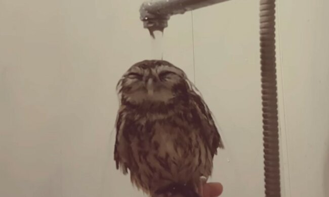 Liebhaberin von Wassertherapie. Quelle: Screenshot YouTube