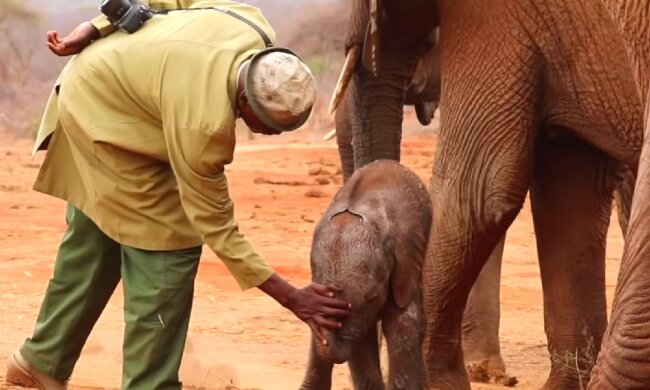 Schnelle Hilfe für ein bedürftigtes Baby. Quelle: Screenshot YouTube