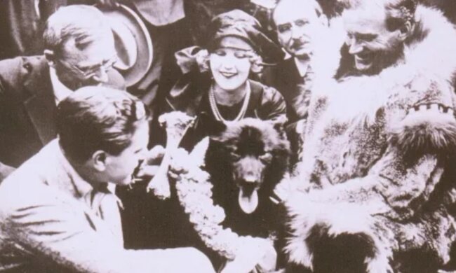 Balto. Quelle: planetanimal