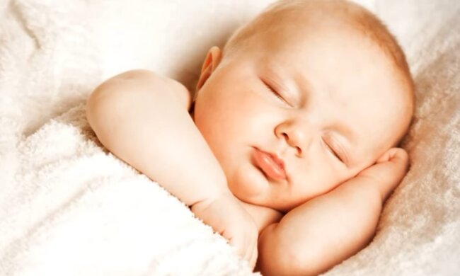 Willkommener Familienzuwachs. Quelle: Screenshot YouTube